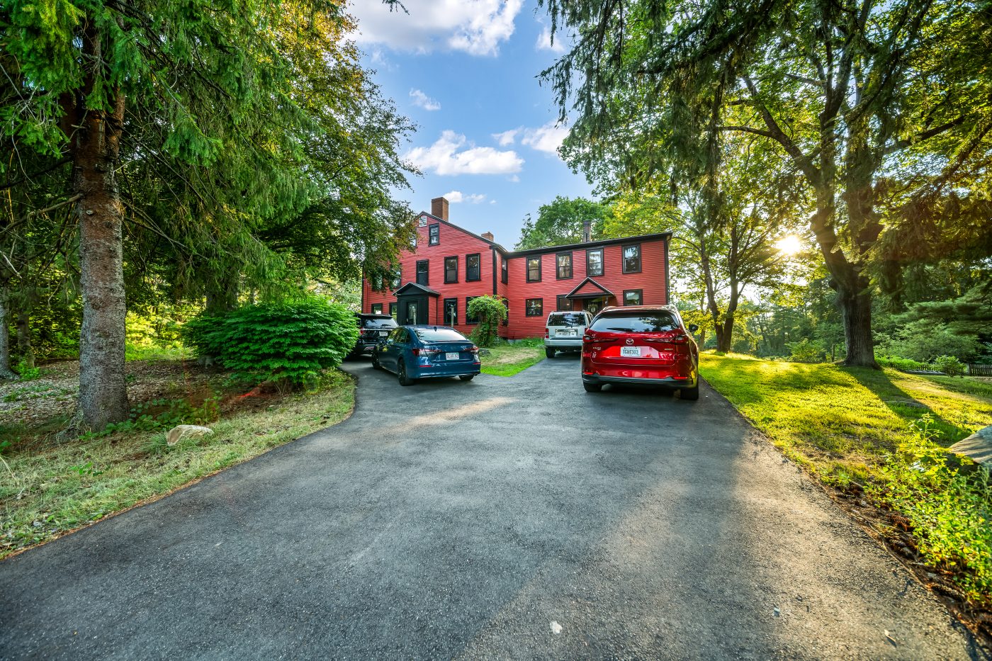 The drive approaching the house between mature trees
